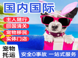 衡阳南岳航空邮寄国际宠物托运 【国